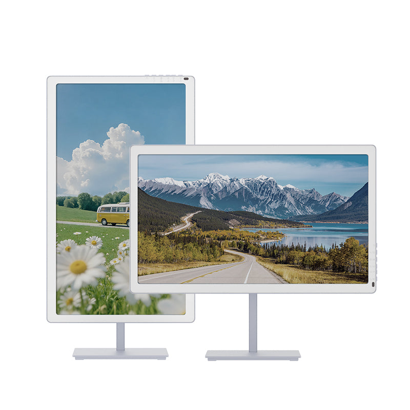 Bigme B251 Pro color E Ink monitor shown in portrait and landscape orientation
